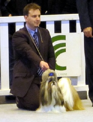 de Saranankara - Concours général agricole canin Paris