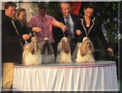 de Saranankara - Le Val d'éon Meilleur classe élevage du Championnat de France